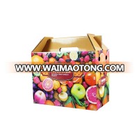 Yilucai High Quality Custom Logo Printed Fresh Fruit Food Packaging Box for Festival