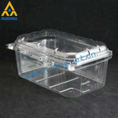 new plastic clear fruit packaging tray