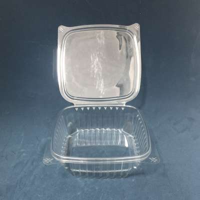 transparents  PET clamshell fruit packaging trays