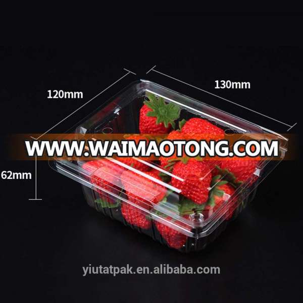 Wholesale disposable transparent plastic fruit packaging tray