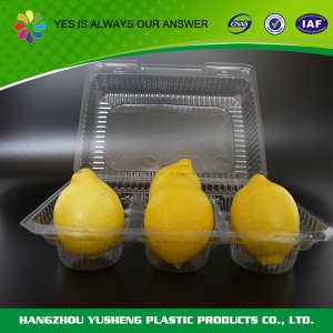 Clear Plastic Fruit Packaging Container Box